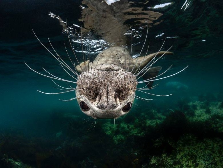 Fotografia di @Greg Lecoeur